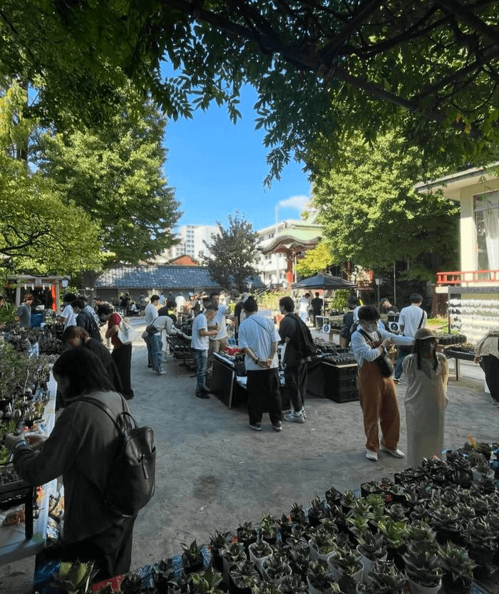 『ボタニカル横丁』