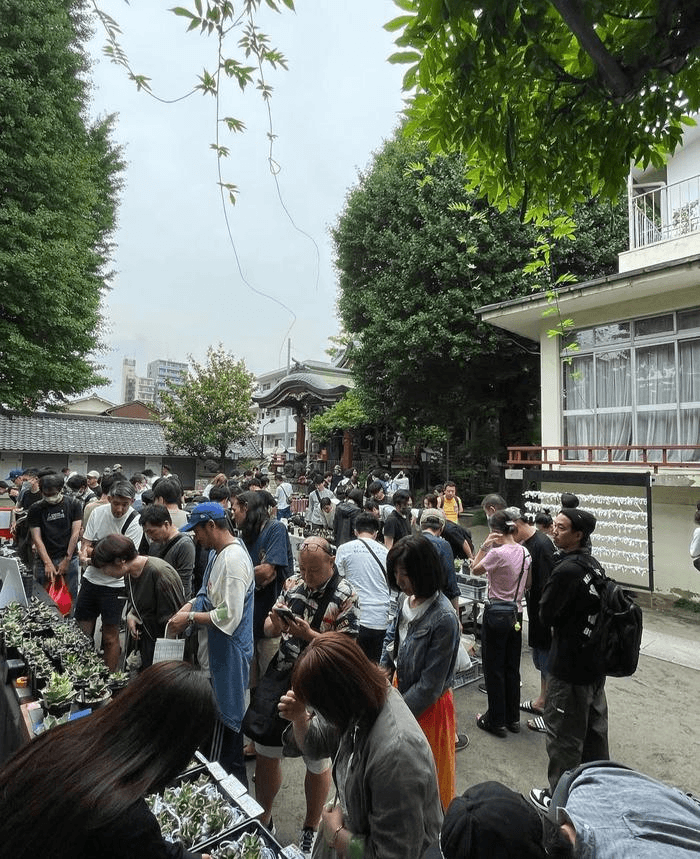 『ボタニカル横丁』-photo2