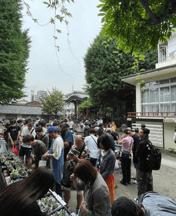 『ボタニカル横丁』_01-small-photo2