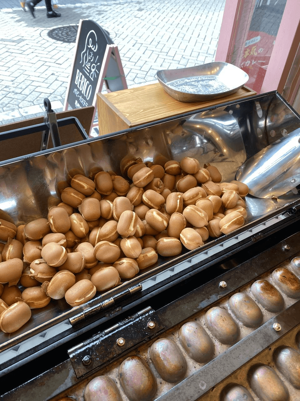 お散歩のおともに🐾-photo1